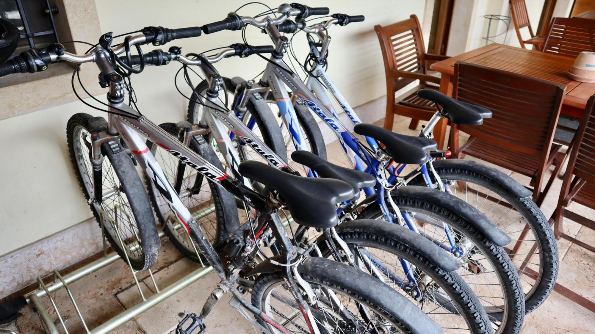 Agriturismo Al Tralcio Valeggio sul Mincio Ngoại thất bức ảnh